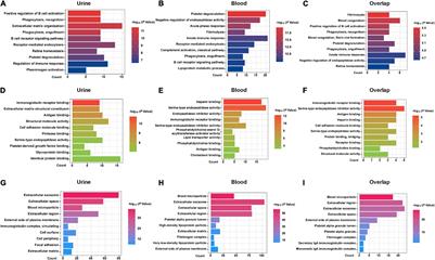 Preliminary Investigation of the Biomarkers of Acute Renal Transplant Rejection Using Integrated Proteomics Studies, Gene Expression Omnibus Datasets, and RNA Sequencing